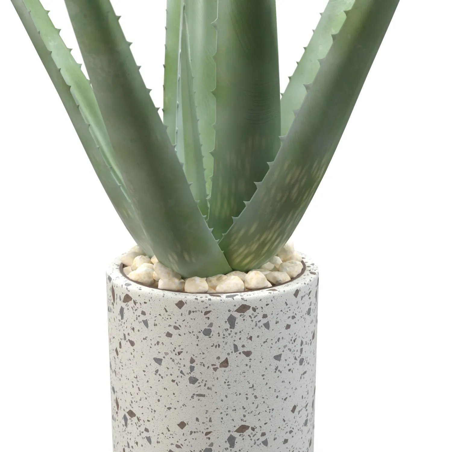 Healthy Aloe Vera Plant In Ceramic Vase PBR 3D Model_05